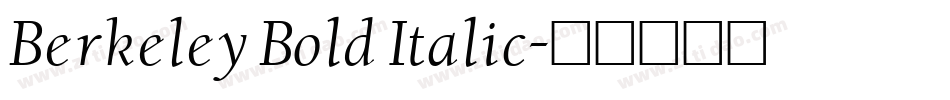 Berkeley Bold Italic字体转换